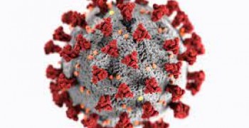 EMERGENZA CORONAVIRUS E OLTRE (ultimato)